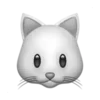 🐱