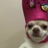 ☺️