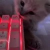 ⌨️