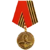 🎖