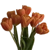 🌷
