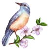 🌸