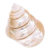 🐚