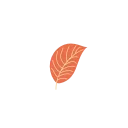 🌱