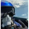 ✌