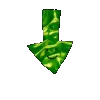 🦚