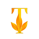 🍁