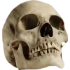 🫥