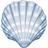 🐚