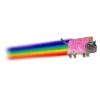 🐈