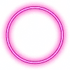 🟣
