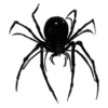🕷