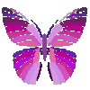 🦋