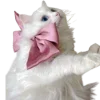 🎀
