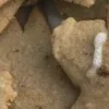 🥮