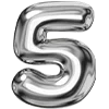 5️⃣