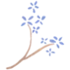 🌸