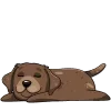 😴