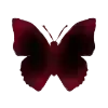 🦋