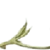😀