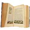 📖