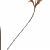 ⭐️