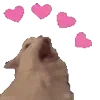 💓