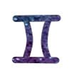 ♊️