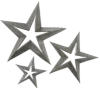 🌟