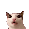 😼