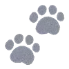 🐾
