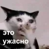 😭