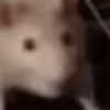 😨