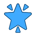 🌟