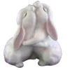 🐰