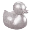🐤