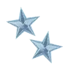 🌟