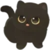 🐈‍⬛