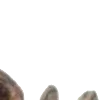 ⭐️