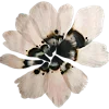 🌷