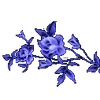 🌟
