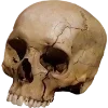 🫥
