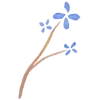 🌷