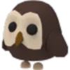 🦉