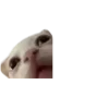 😦