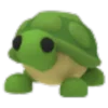 🐢