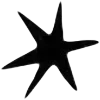 ⭐️