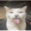 🤩