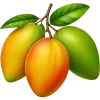 🥭
