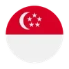 🇸🇬